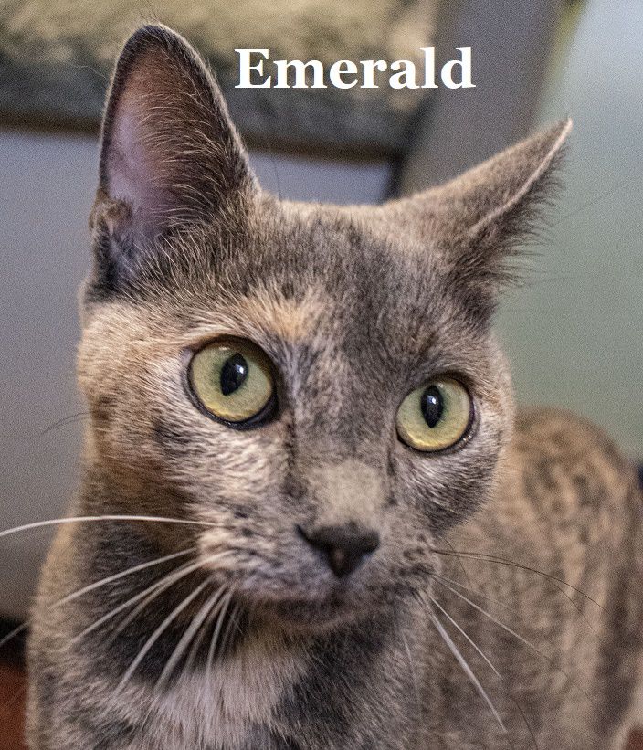 Emerald